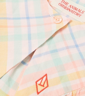 Hawk checked cotton collar | The Animals Observatory