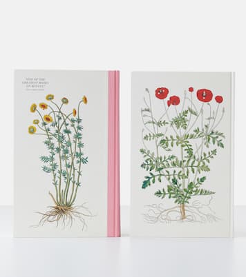 Leonhart Fuchs: The New Herbal book | Taschen
