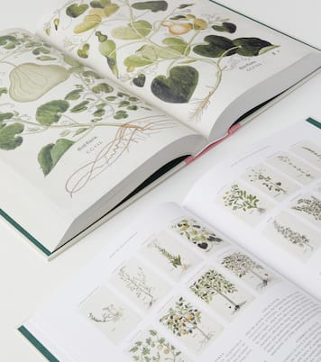 Leonhart Fuchs: The New Herbal book | Taschen