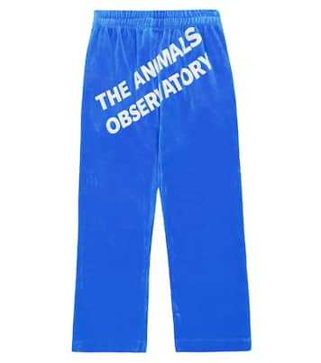 Hose Camaleon aus Samt | The Animals Observatory