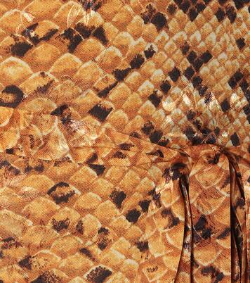 Robe Lupita imprimée | Preen by Thornton Bregazzi