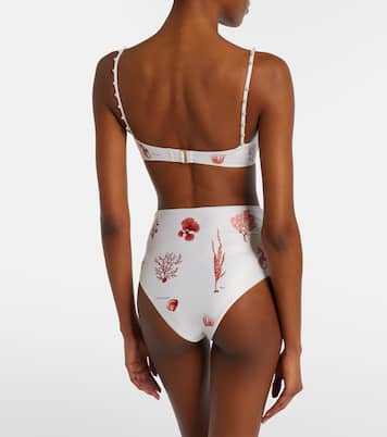 Braga de bikini Magdalena estampada | Agua by Agua Bendita