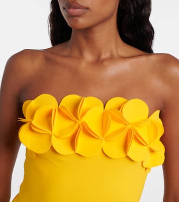 Tess floral-appliqué swimsuit | Karla Colletto