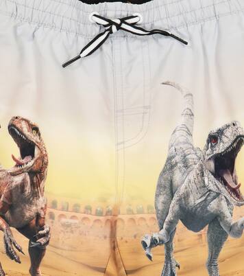 Neal printed swim trunks | Molo