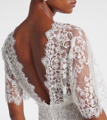 Embroidered cotton-blend lace gown | Elie Saab