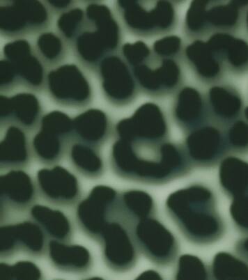 Neptune leopard-print rashguard | Molo