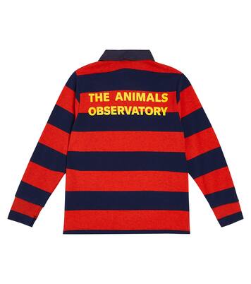 Eel striped polo shirt | The Animals Observatory