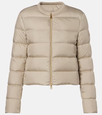 Daunenjacke Mauvezin | Moncler