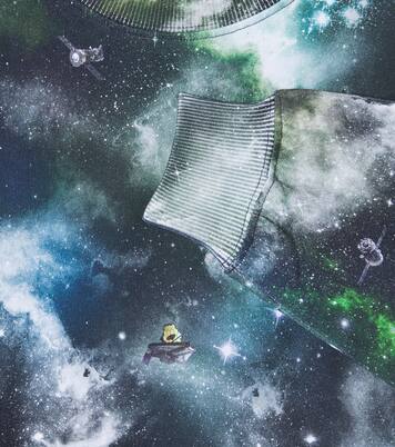 Monti printed cotton sweatshirt | Molo