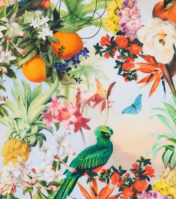 Nitika printed swimsuit | Molo