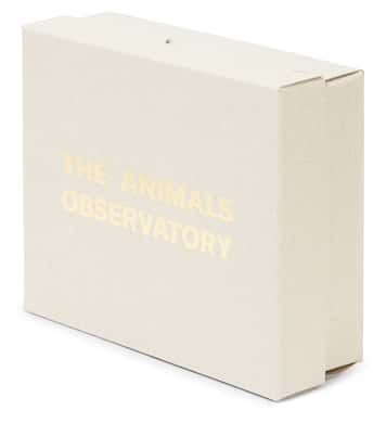 Baby Set aus zwei Bodys aus Baumwolle | The Animals Observatory