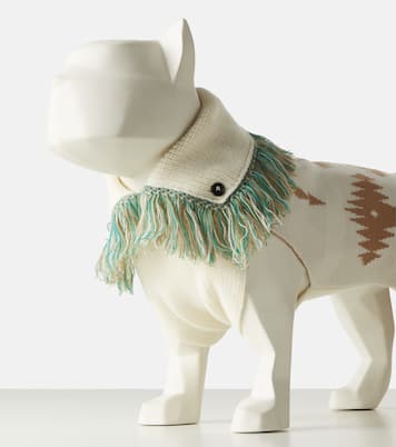 x Poldo Dog Couture Icon dog sweater | Alanui