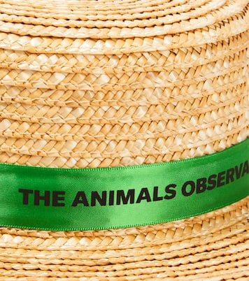 Sun hat | The Animals Observatory
