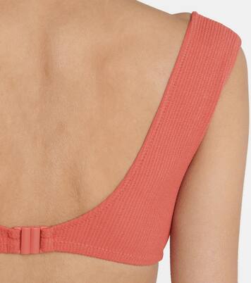 Haut de bikini South Pacific | Tropic of C