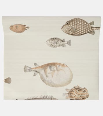 x Cole & Son -  Carta da parati Acquario con stampa | Fornasetti