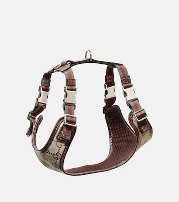 XS GG canvas leather-trimmed dog harness | Gucci