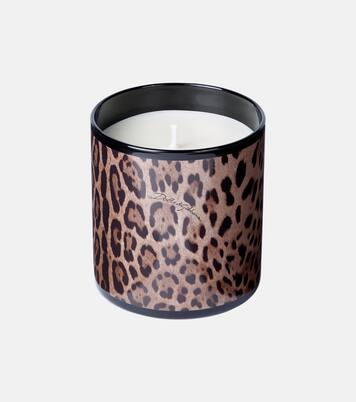Patchouli scented candle | Dolce&Gabbana Casa