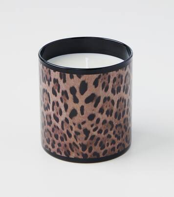 Patchouli scented candle | Dolce&Gabbana Casa