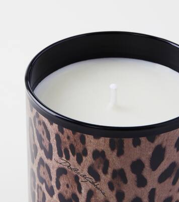Patchouli scented candle | Dolce&Gabbana Casa