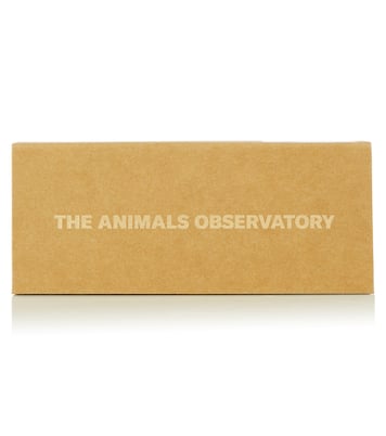 x Yuma Labs square sunglasses | The Animals Observatory