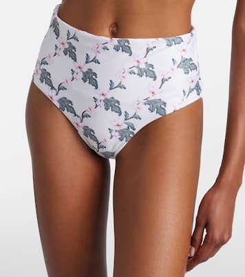 Magenta floral bikini bottoms | Agua by Agua Bendita