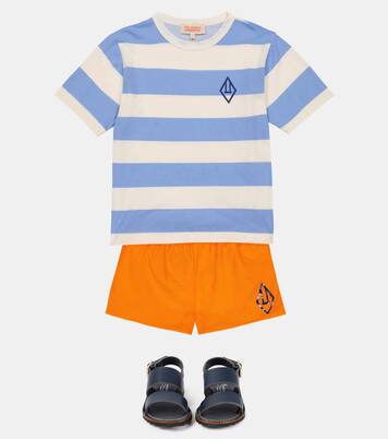 Puppy swim trunks | The Animals Observatory