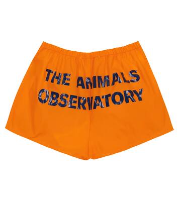 Puppy swim trunks | The Animals Observatory