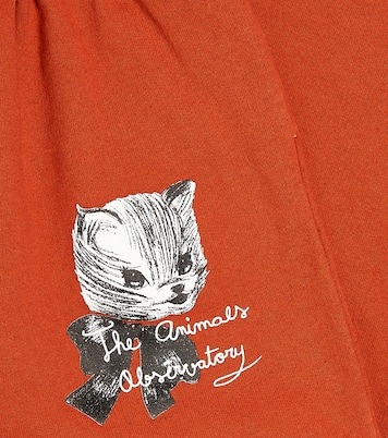 Jogginghose Cameleon aus Baumwolle | The Animals Observatory