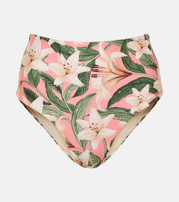 Culotte de bikini Magenta à fleurs | Agua by Agua Bendita