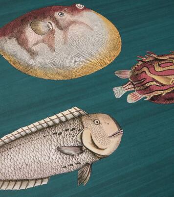 x Cole & Son papel pintado Acquario | Fornasetti