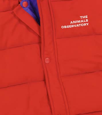 Baby Schneeanzug Bumblebee | The Animals Observatory