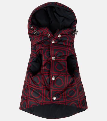 Moncler Poldo Dog Couture reversible hooded dog coat | Moncler
