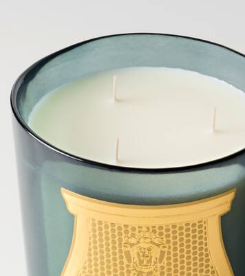 Bougie parfumée Figuerie Intermezzo | Trudon