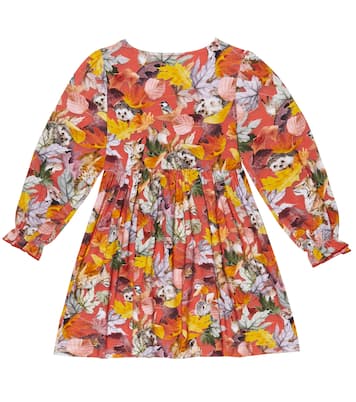 Cami floral cotton dress | Molo