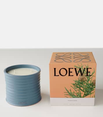 Cypress Balls Medium scented candle | Loewe Home Scents