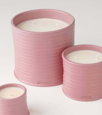 Ivy Large scented candle | Loewe Home Scents