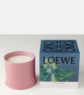 Ivy Large scented candle | Loewe Home Scents