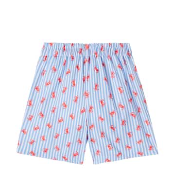 Bravo printed striped swim trunks | La Coqueta