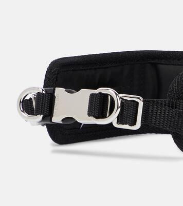 Halsband für Hunde aus Re-Nylon mit Kristallen | Prada