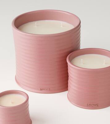 Ivy Medium candle | Loewe Home Scents