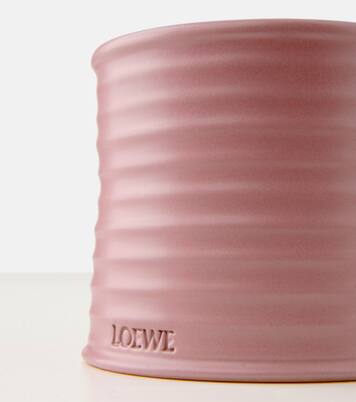 Ivy Medium candle | Loewe Home Scents