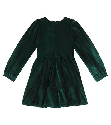 Calanthe velvet dress | Molo