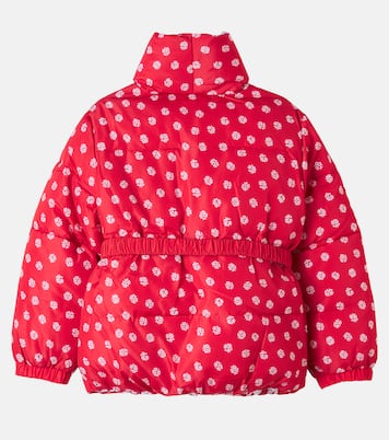 Picture 3 out of 4