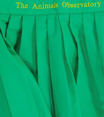 Jupe Cat | The Animals Observatory