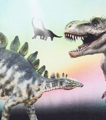 T-shirt Riley imprimé en coton | Molo