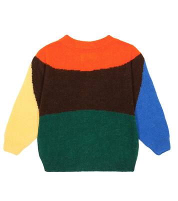 Arty Bull colorblocked sweater | The Animals Observatory