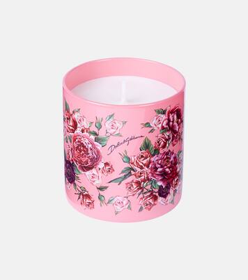 Rosa Moschata scented candle | Dolce&Gabbana Casa