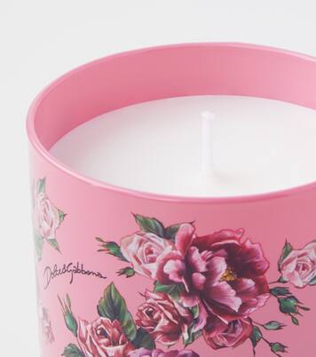Rosa Moschata scented candle | Dolce&Gabbana Casa