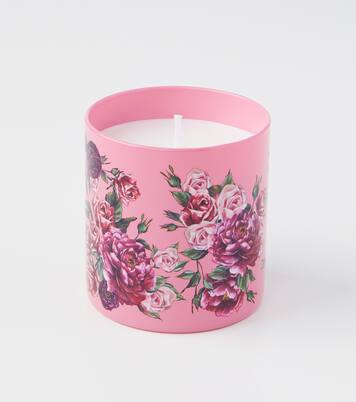 Rosa Moschata scented candle | Dolce&Gabbana Casa