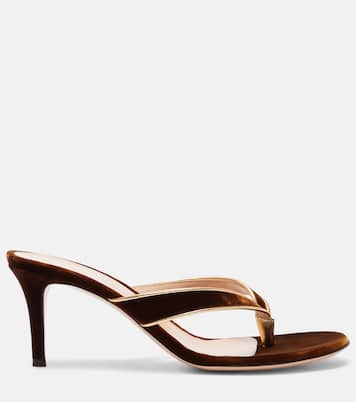 Sandalen Calypso 70 aus Samt | Gianvito Rossi